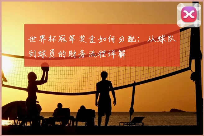 世界杯冠军奖金如何分配:从球队到球员的财务流程详解