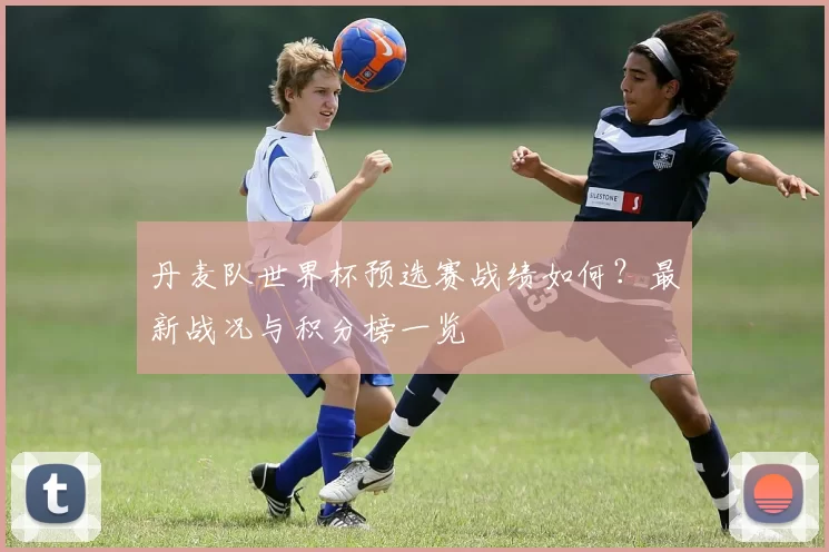 丹麦队世界杯预选赛战绩如何？最新战况与积分榜一览