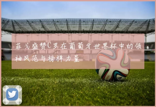 菲戈盛赞C罗在葡萄牙世界杯中的领袖风范与榜样力量