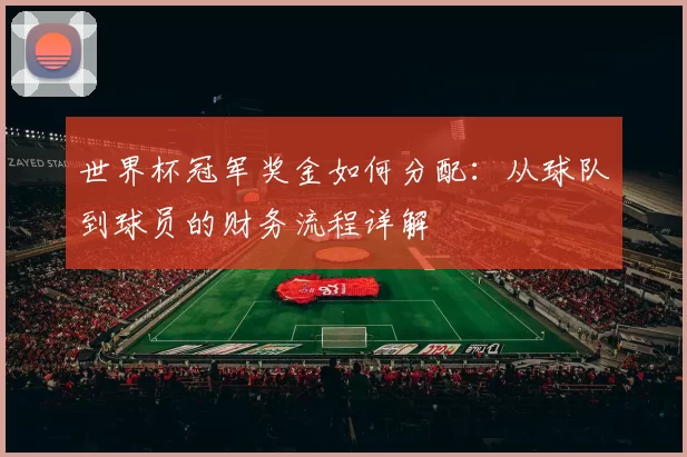 世界杯冠军奖金如何分配:从球队到球员的财务流程详解