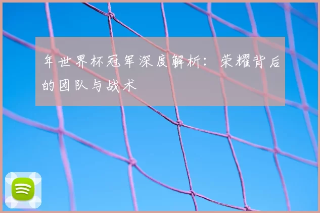 年世界杯冠军深度解析：荣耀背后的团队与战术