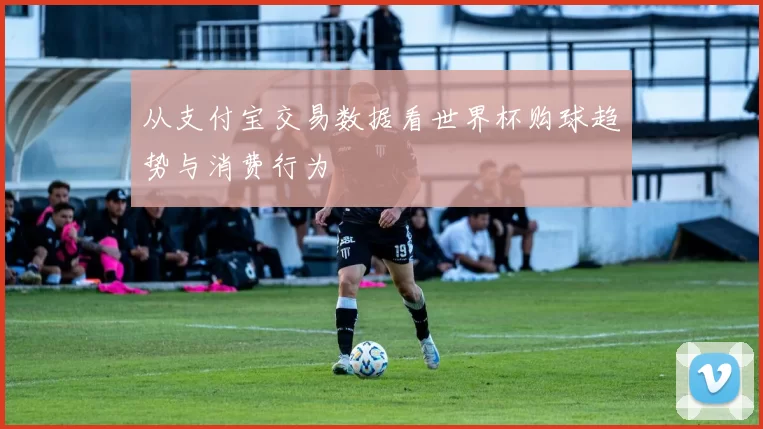 从支付宝交易数据看世界杯购球趋势与消费行为