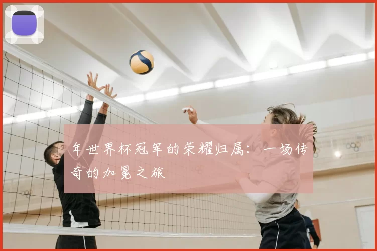 年世界杯冠军的荣耀归属:一场传奇的加冕之旅