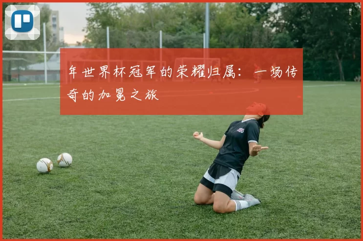 年世界杯冠军的荣耀归属:一场传奇的加冕之旅