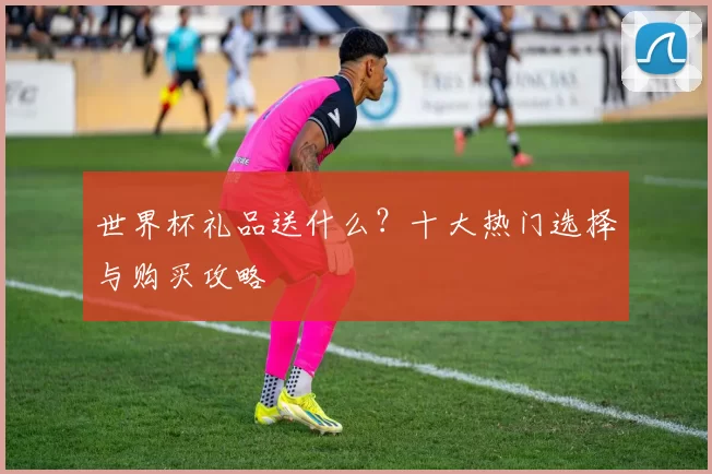 世界杯礼品送什么?十大热门选择与购买攻略