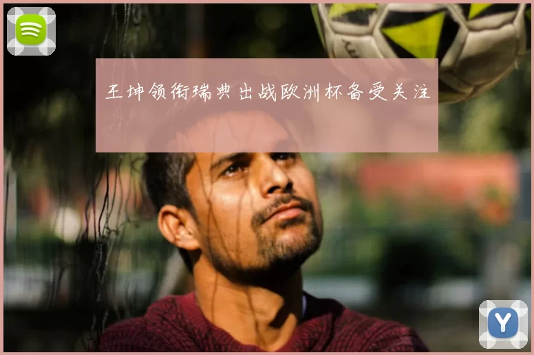王坤领衔瑞典出战欧洲杯备受关注