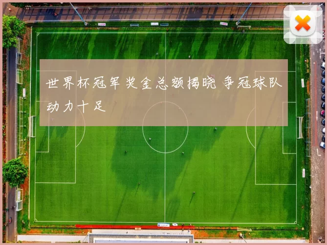 世界杯冠军奖金总额揭晓 争冠球队动力十足