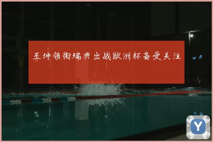 王坤领衔瑞典出战欧洲杯备受关注