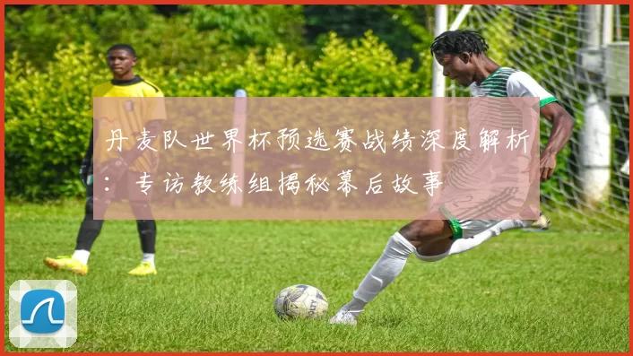 丹麦队世界杯预选赛战绩深度解析:专访教练组揭秘幕后故事